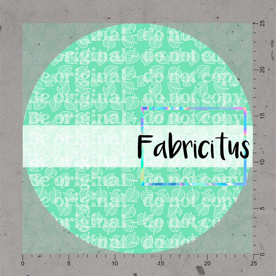 SEBCC05 - BELL COLLECTORS COORDINATE 05