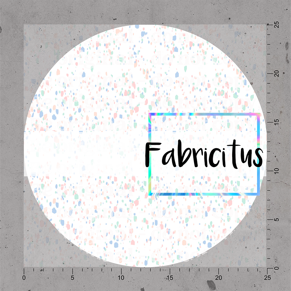 SEBCC06 - BELL COLLECTORS COORDINATE 06