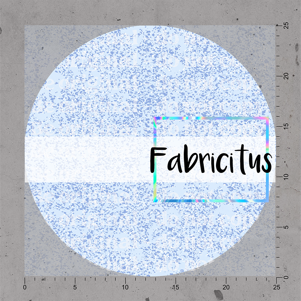 SEBCC08 - BELL COLLECTORS COORDINATE 08